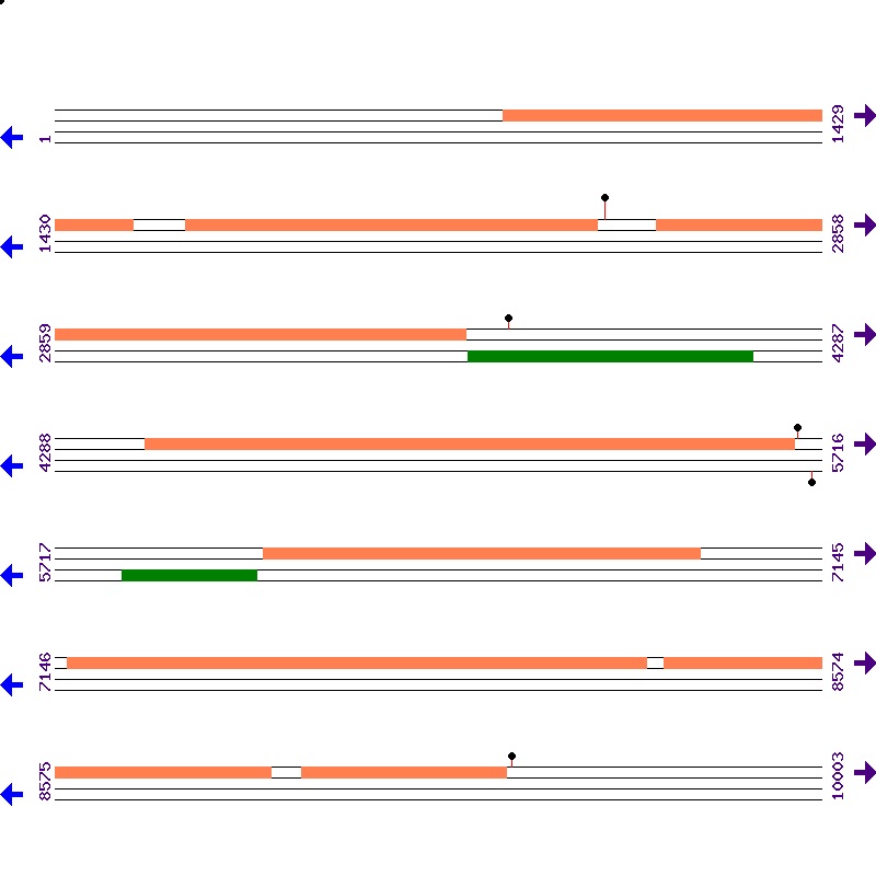 Genome View