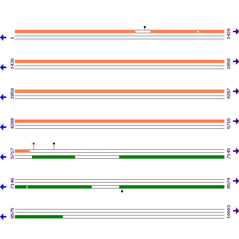Genome View