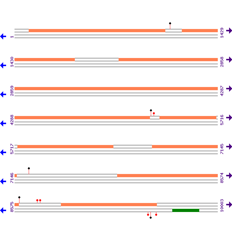 Genome View