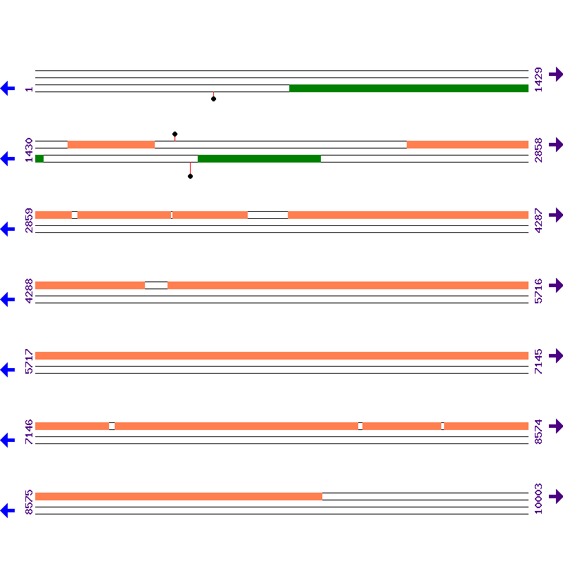 Genome View