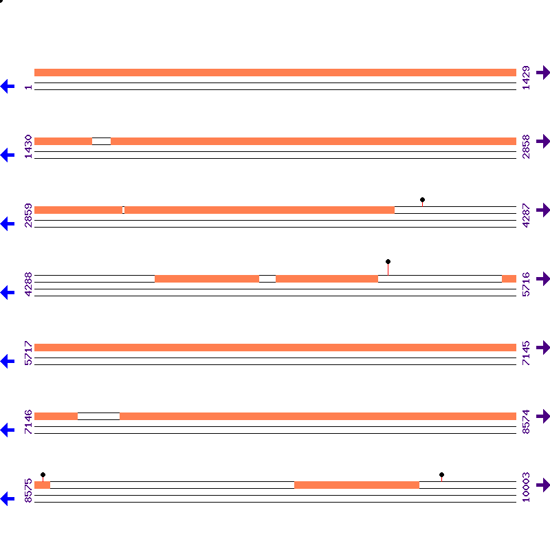 Genome View