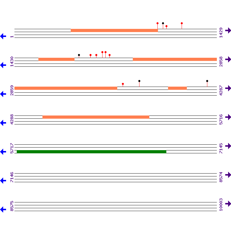 Genome View