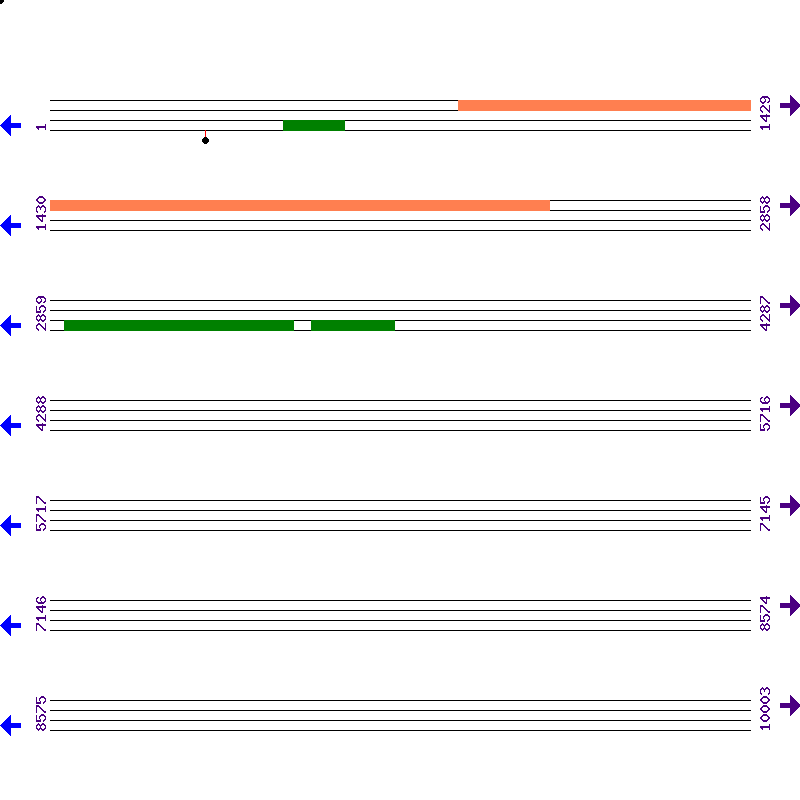 Genome View