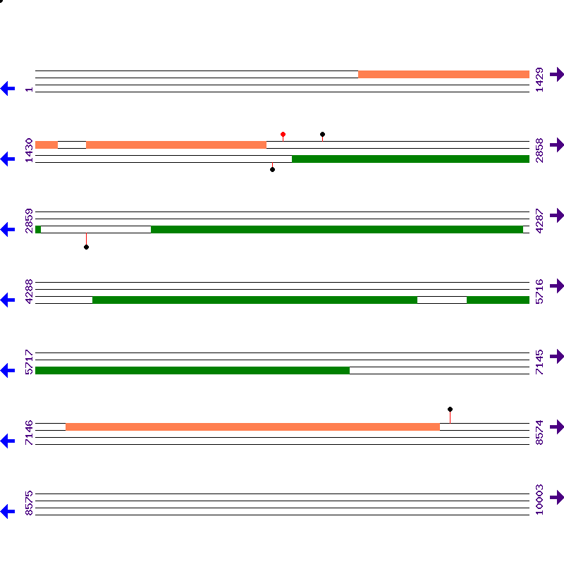 Genome View