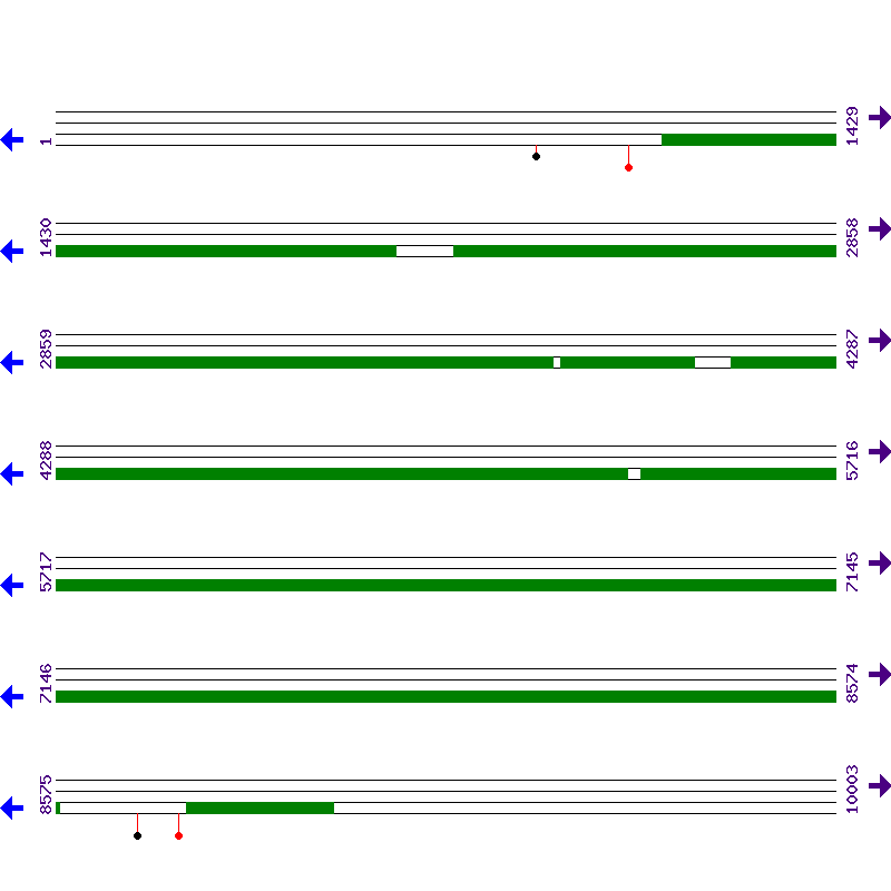 Genome View