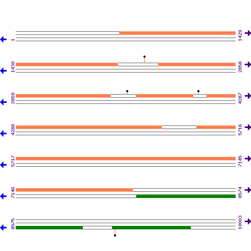 Genome View