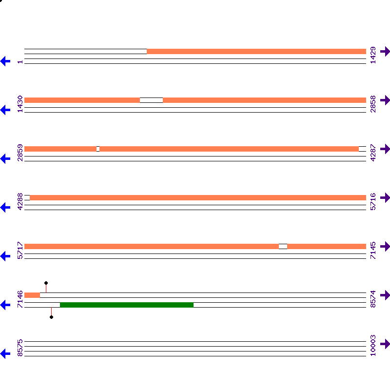 Genome View