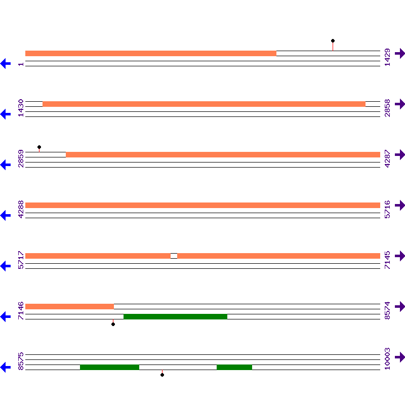 Genome View