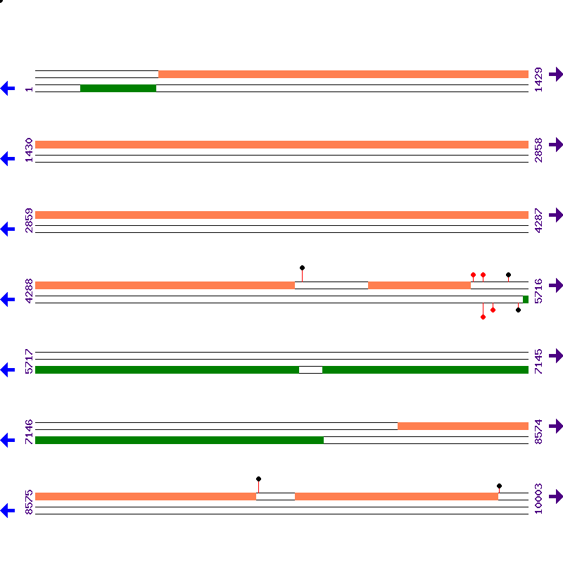 Genome View