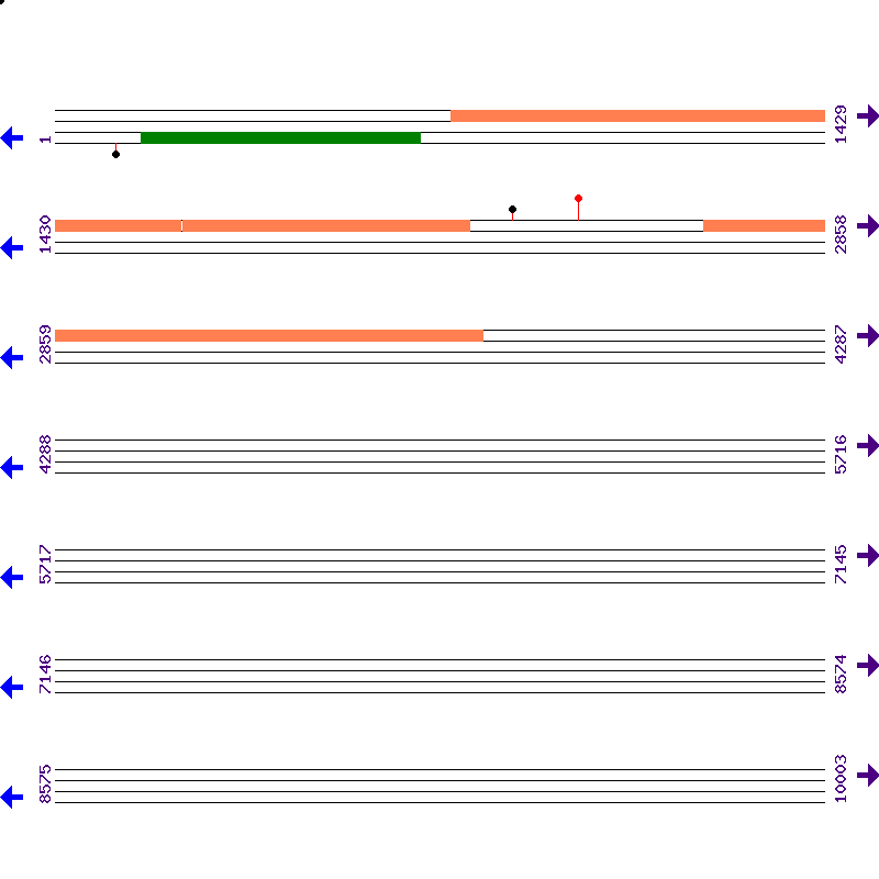 Genome View