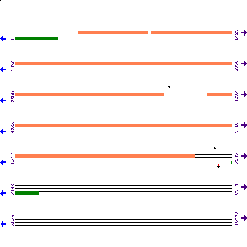 Genome View