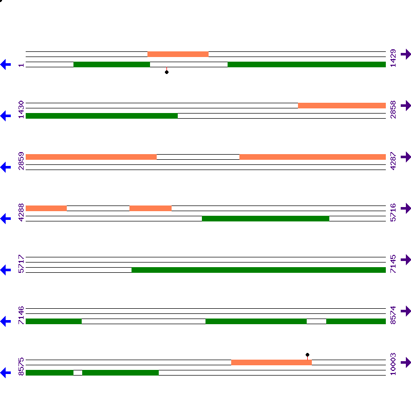 Genome View