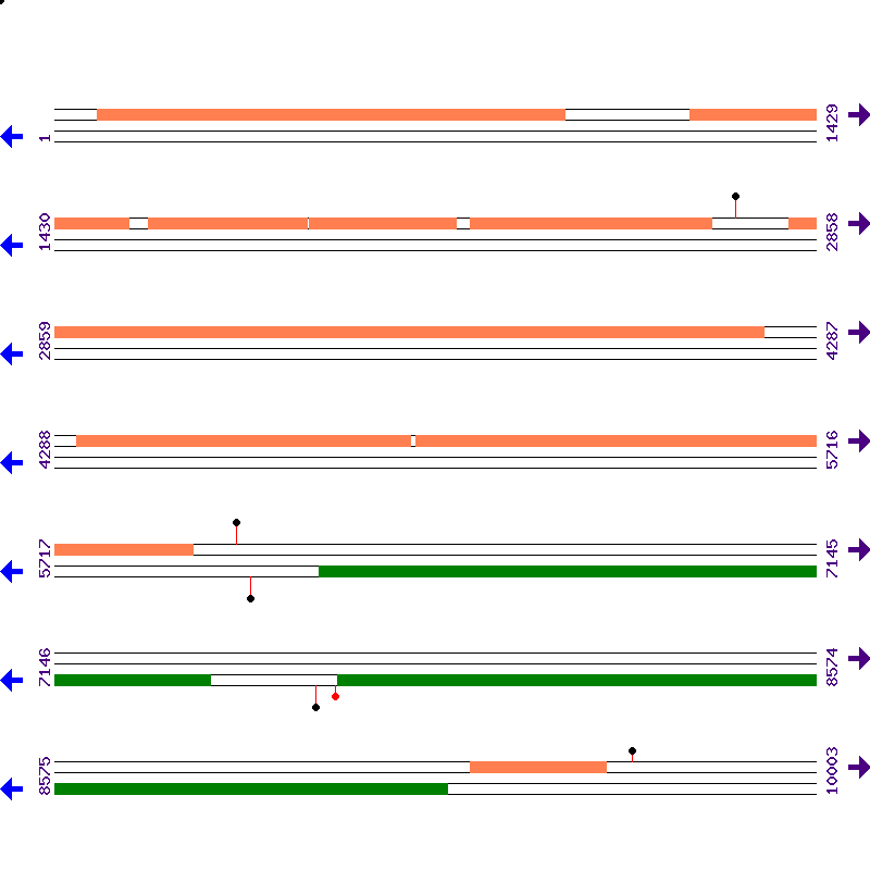 Genome View