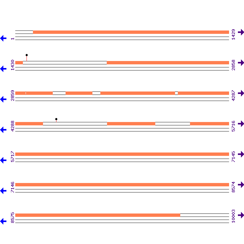 Genome View