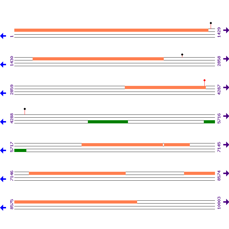 Genome View