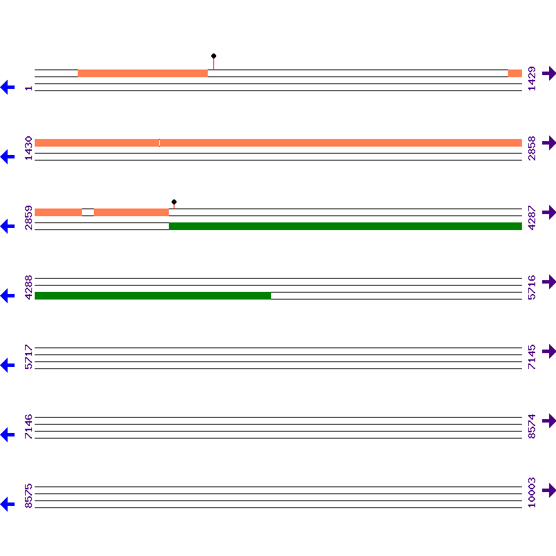 Genome View