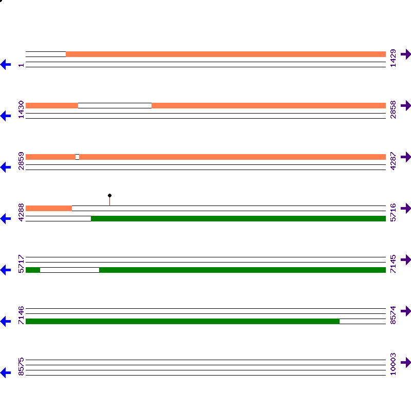 Genome View
