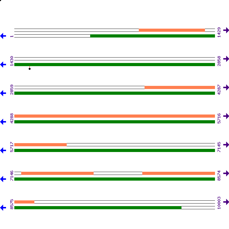 Genome View