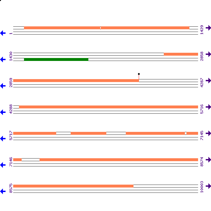 Genome View