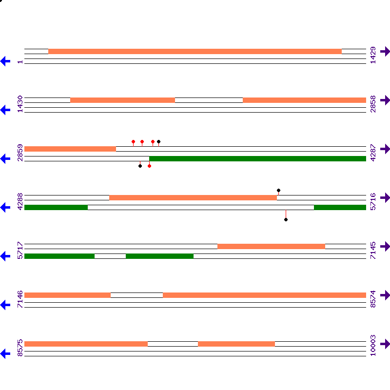 Genome View