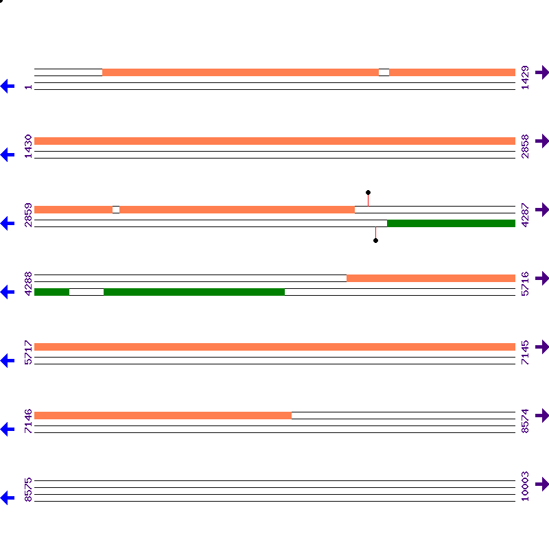 Genome View