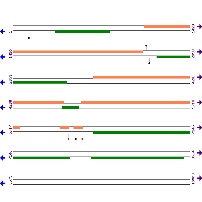Genome View