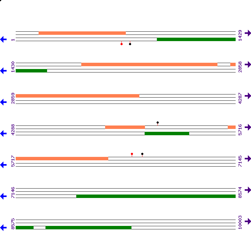 Genome View