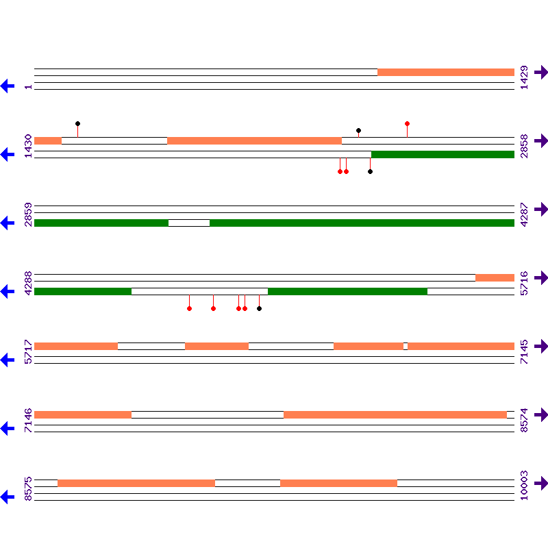 Genome View