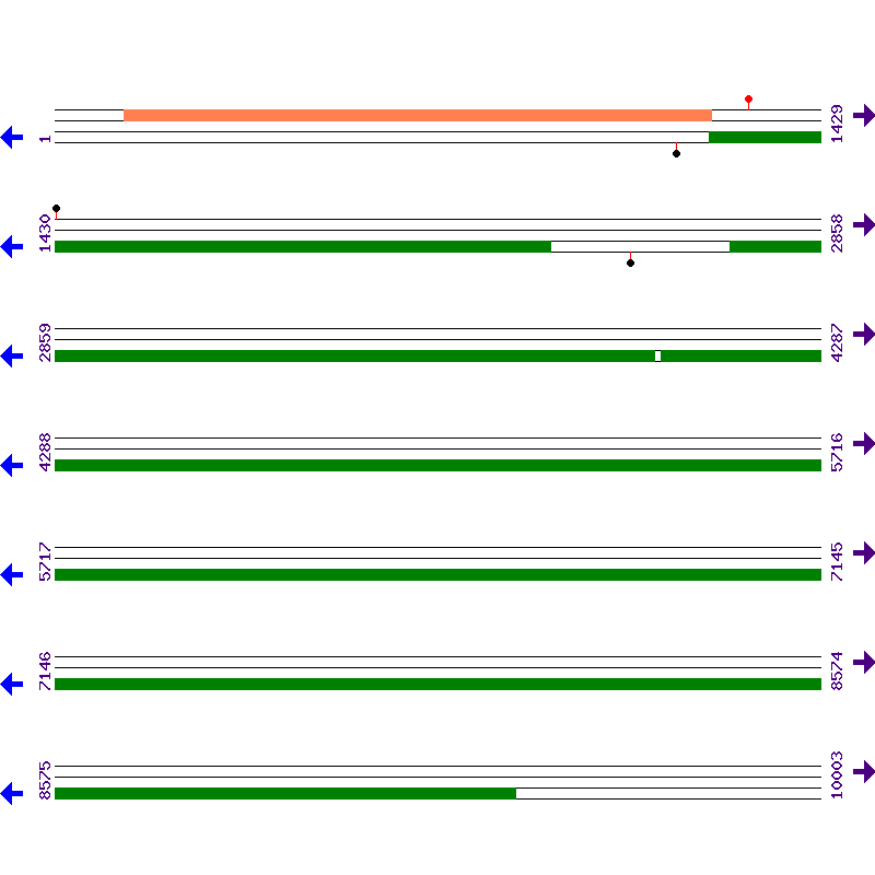 Genome View
