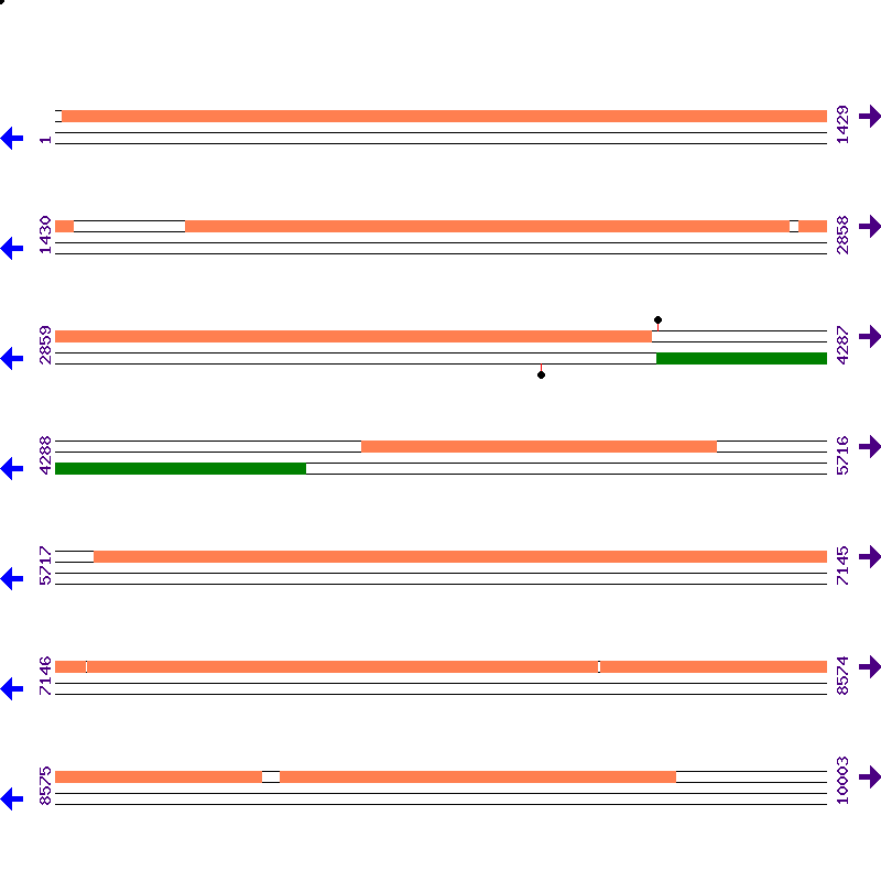 Genome View