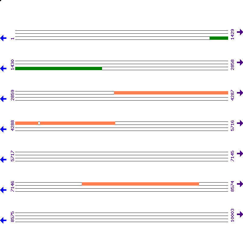 Genome View