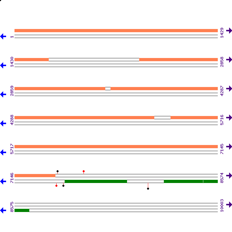 Genome View