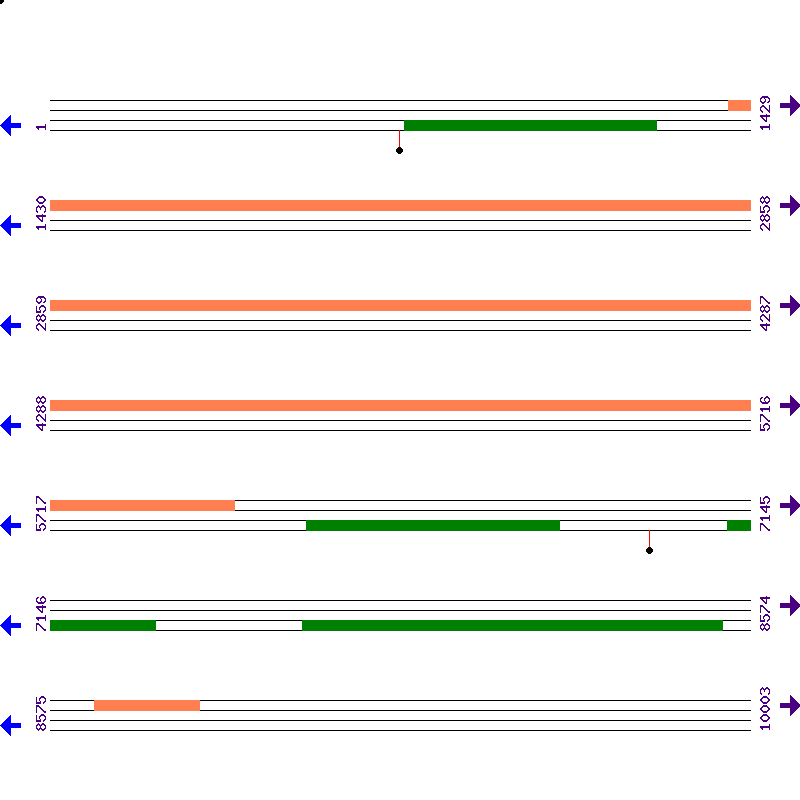 Genome View