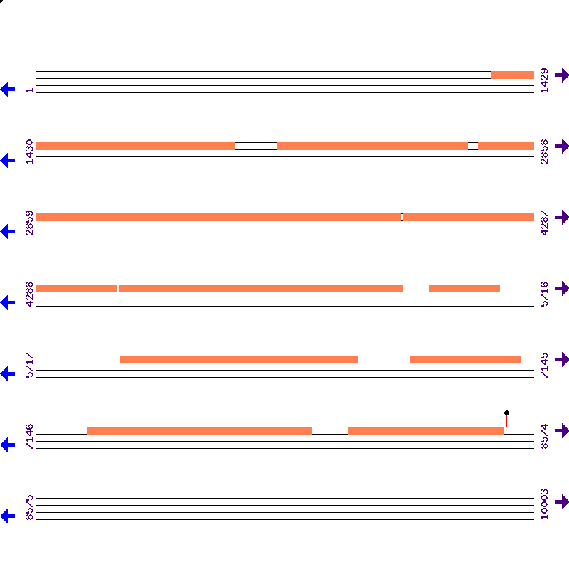 Genome View