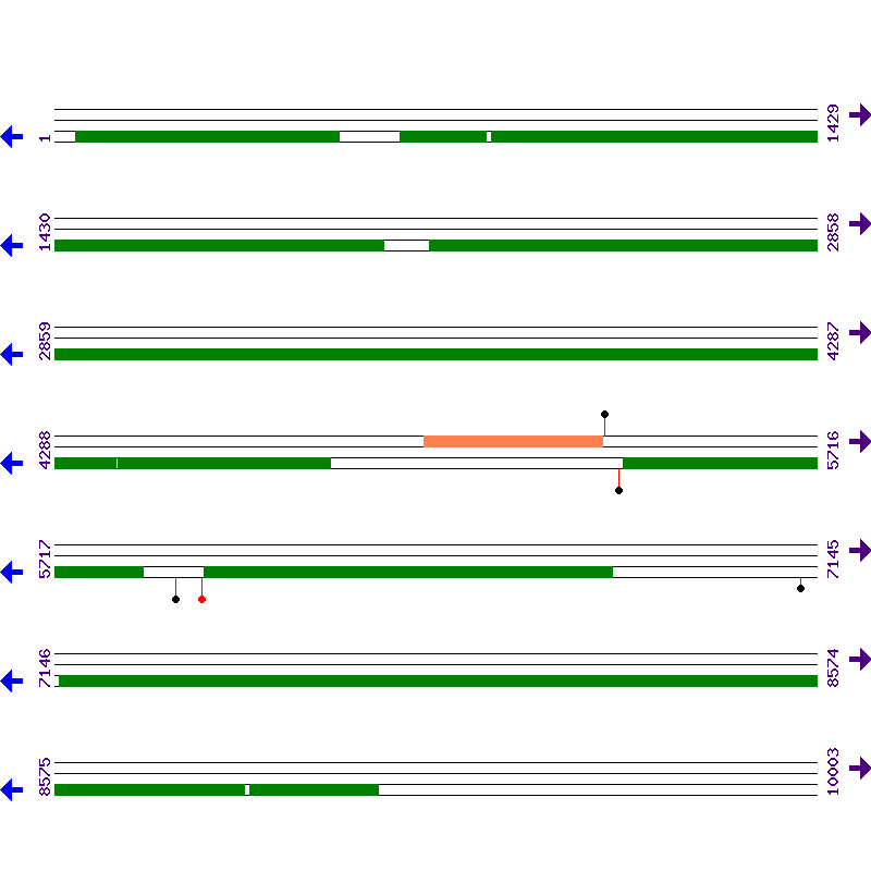 Genome View