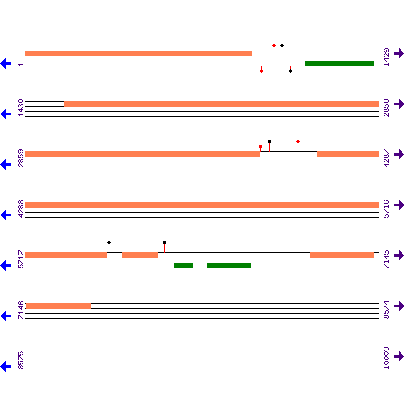 Genome View