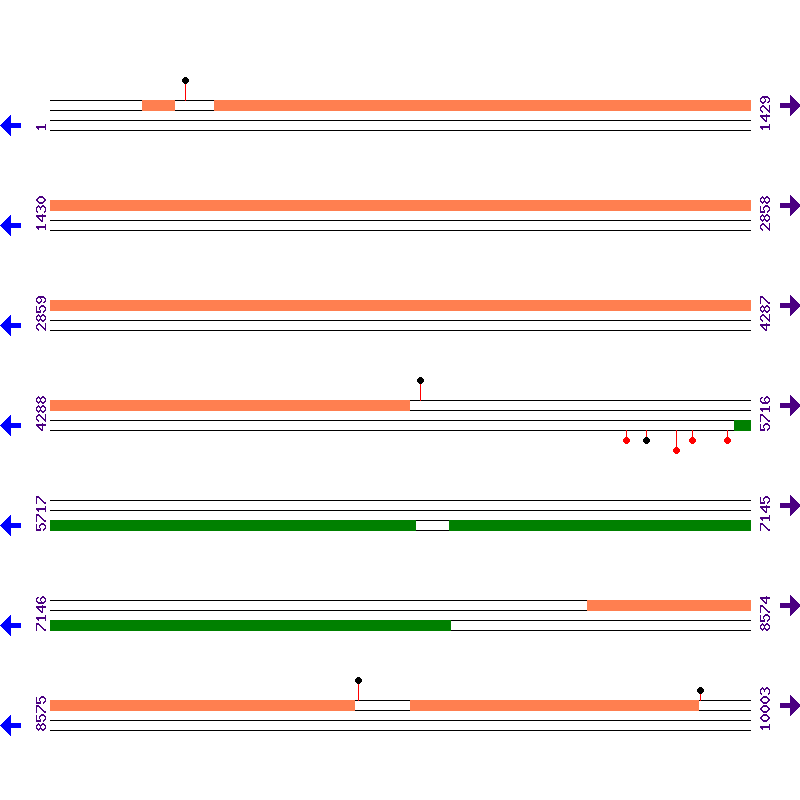 Genome View