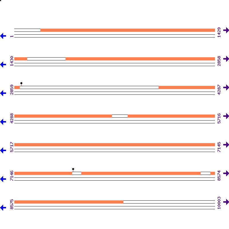 Genome View