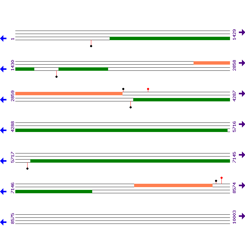 Genome View