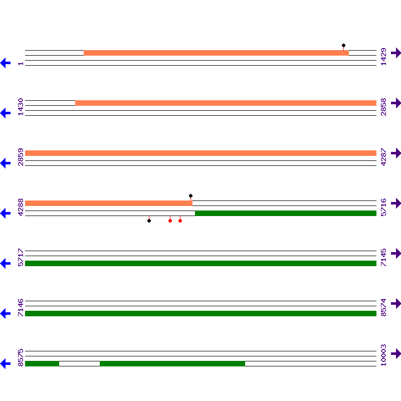 Genome View