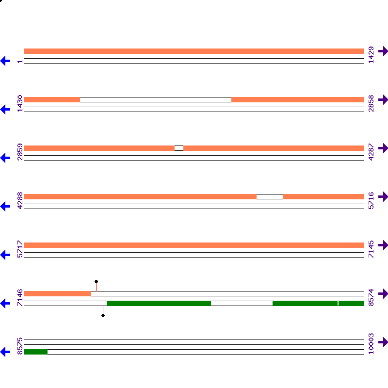 Genome View