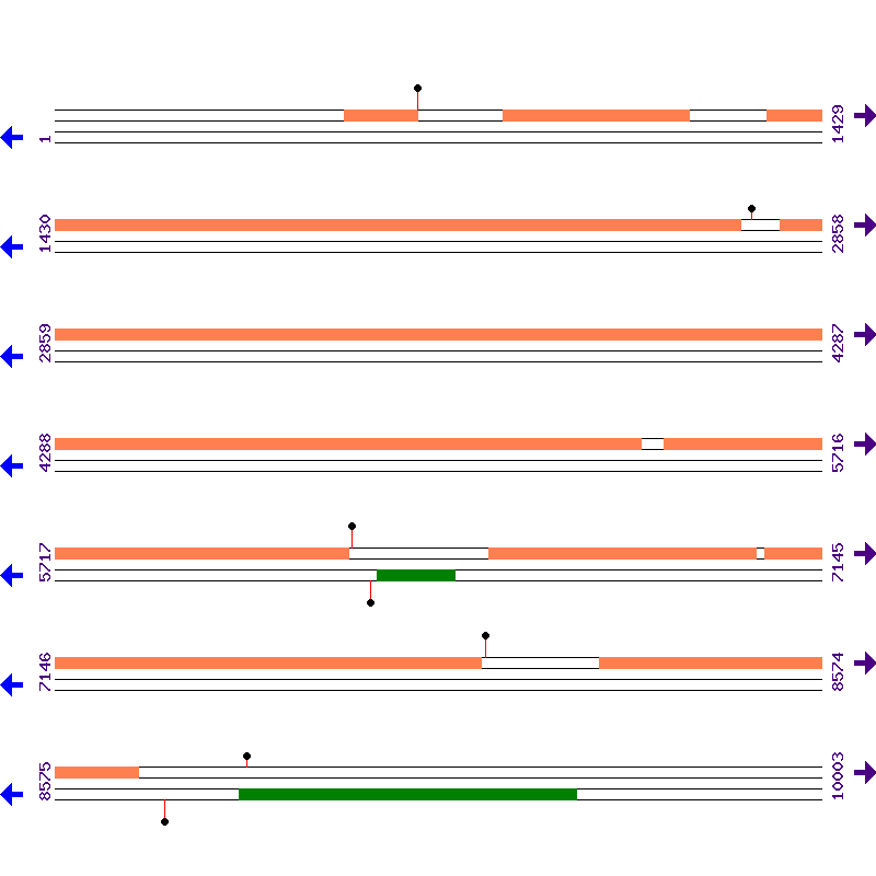 Genome View