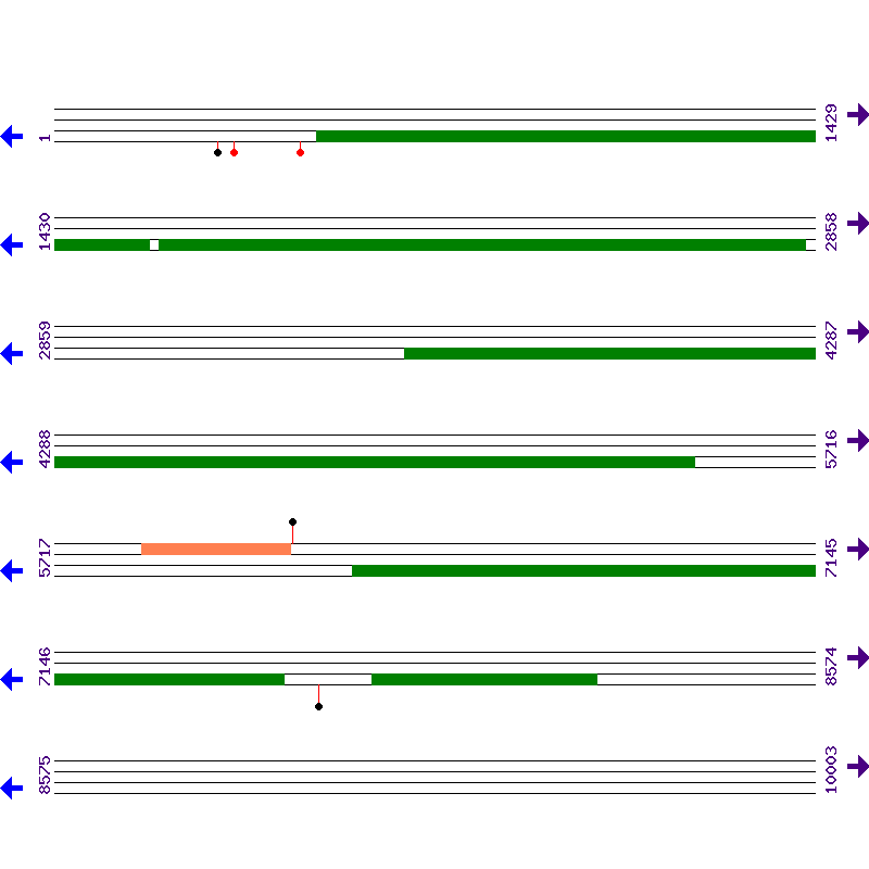 Genome View