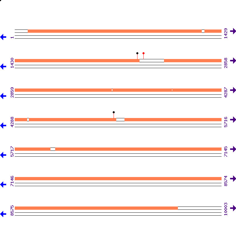 Genome View