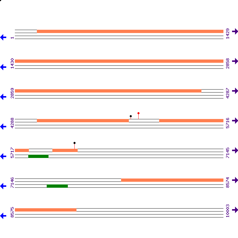 Genome View