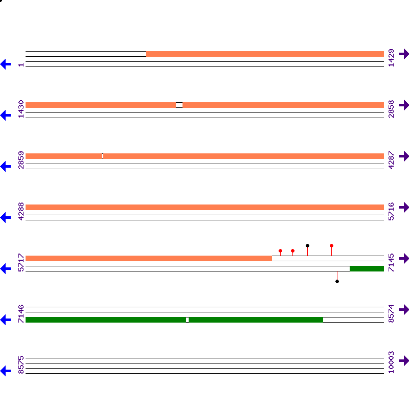 Genome View