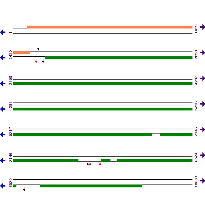 Genome View