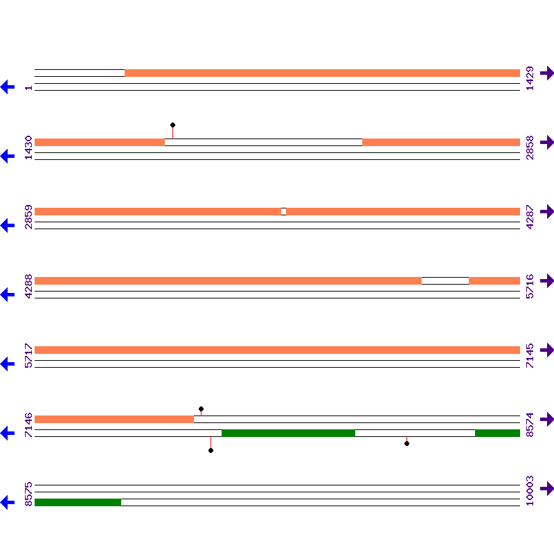 Genome View