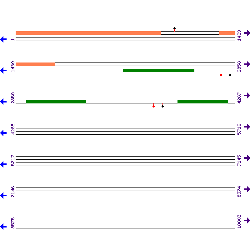 Genome View