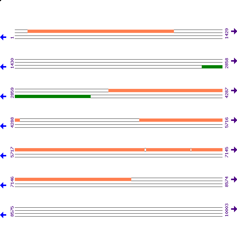Genome View